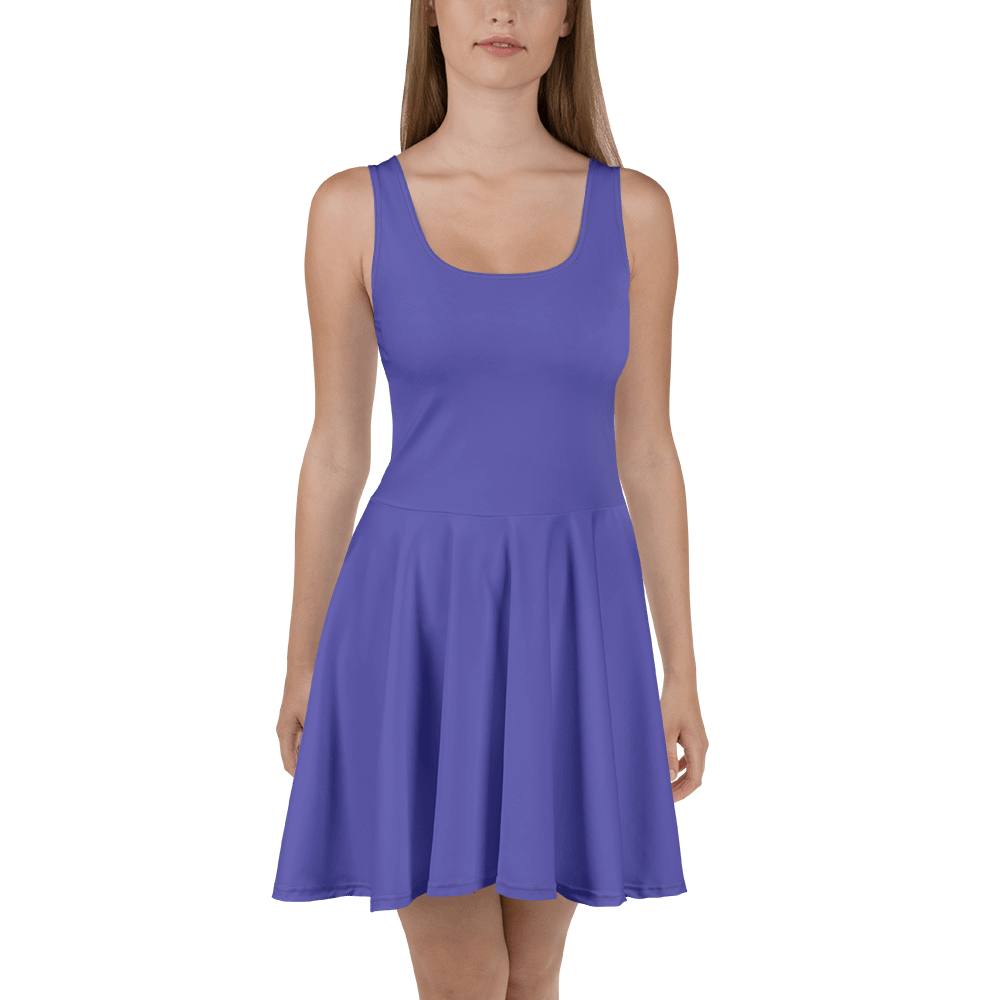 Ethereal Hues Skater Dress product image (2)