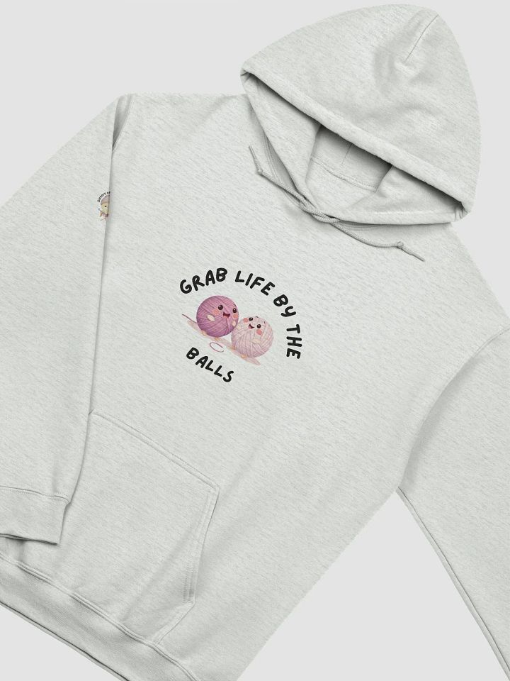 Grab Life By the Balls Hoodie product image (15)