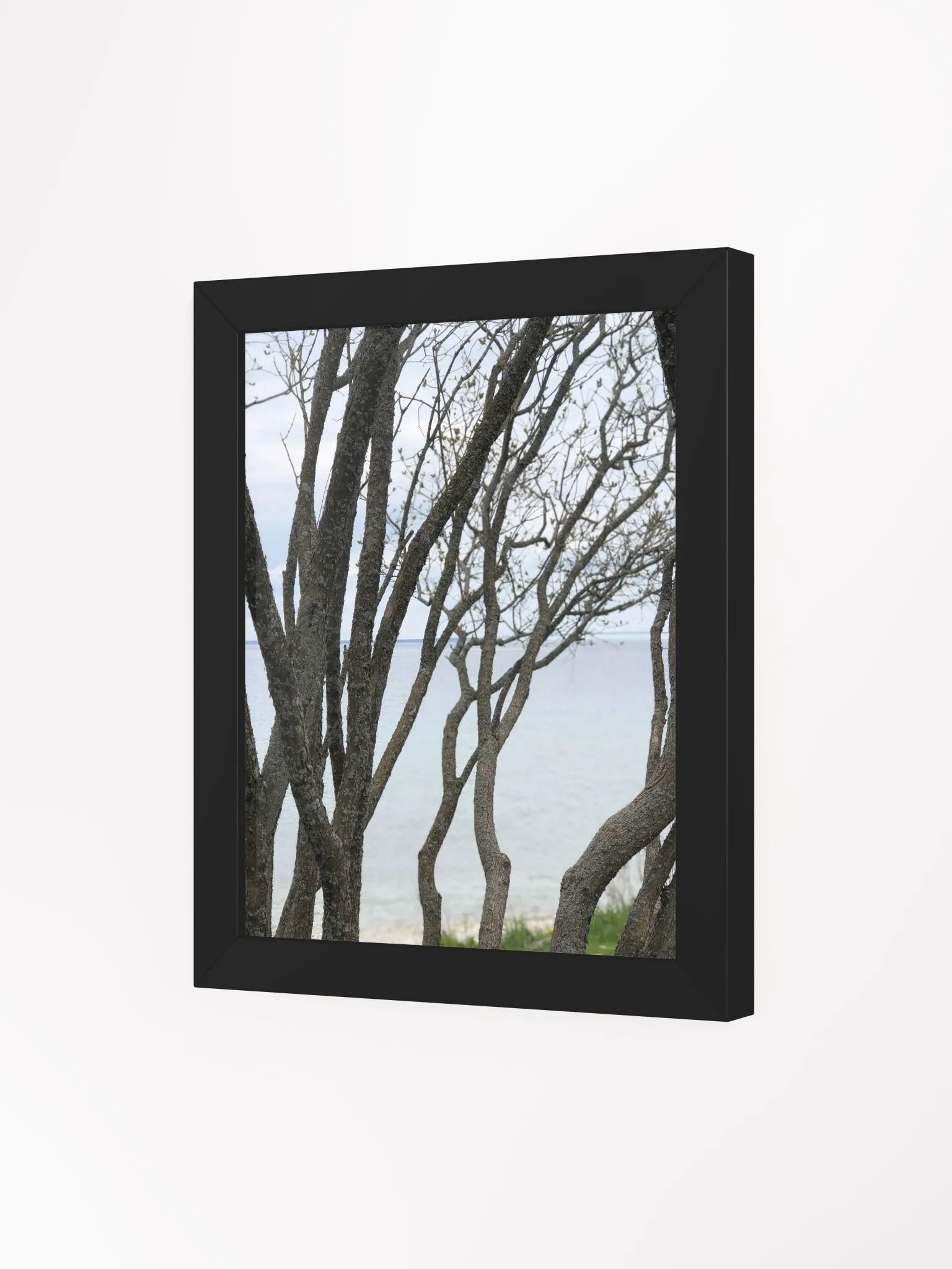 Winding Branches High Quality Matte Poster product image (3)