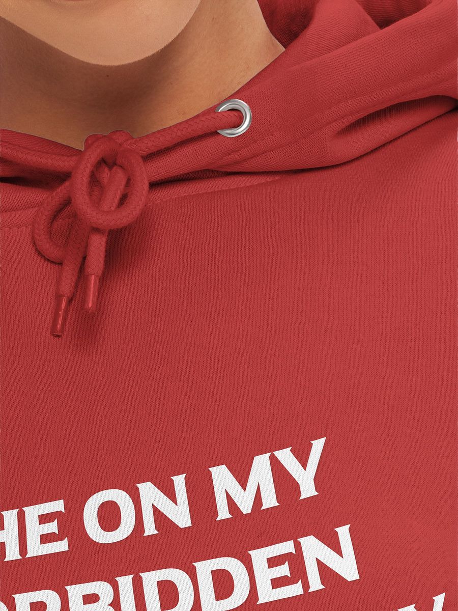 Forbidden Till I Journey Hoodie product image (3)