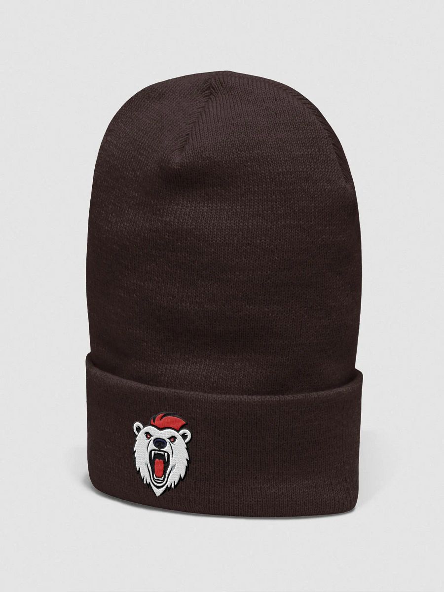 Polarifix Beanie product image (12)