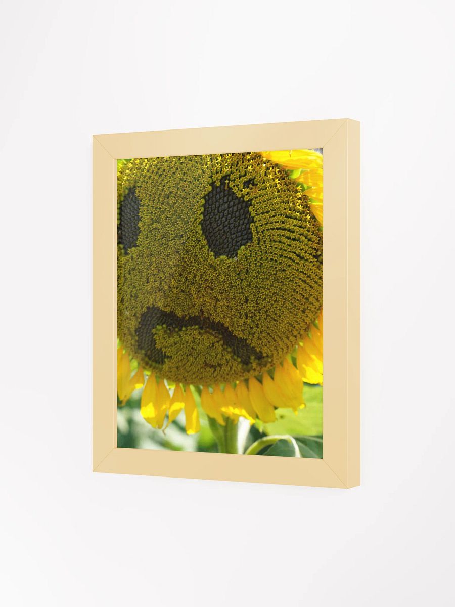 Framed Sunflower product image (3)