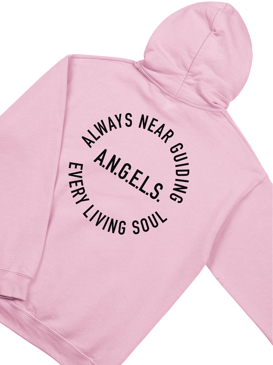 A.N.G.E.L.S. Hoodie product image (3)