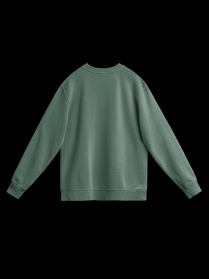 Royal Vintage Crown PNB -PATRIOT NEDO BOSS Sweatshirt product image (11)
