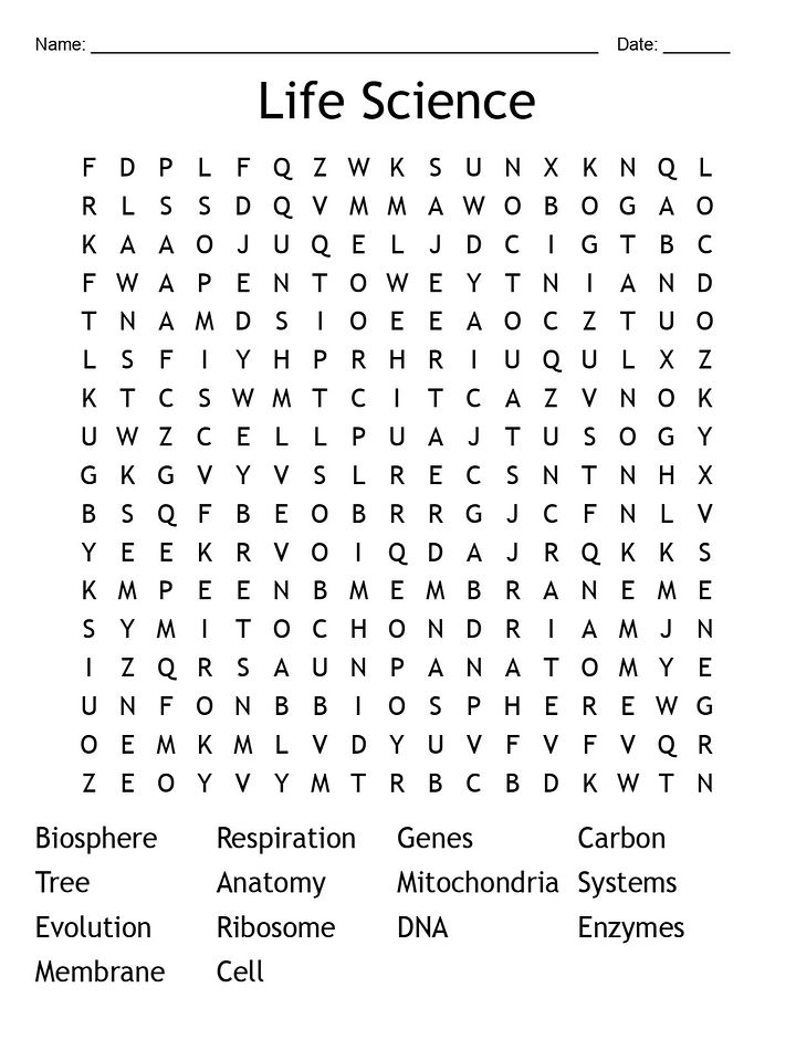 Life Science Word Search Puzzle – Fun & Educational Activity product image (2)