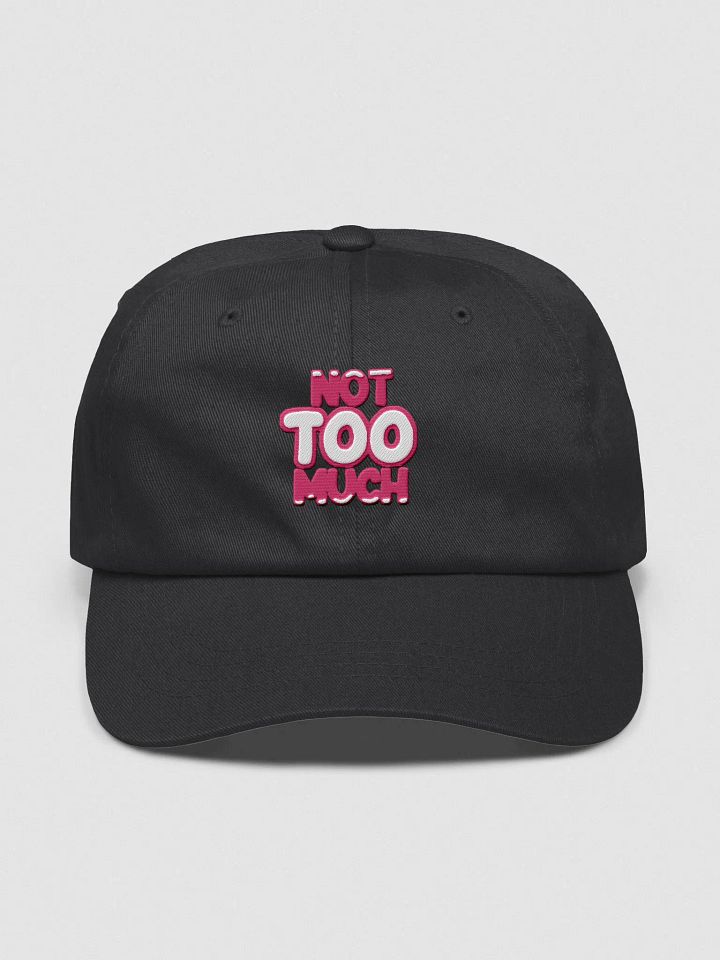 NOT TOO MUCH Cap! product image (3)