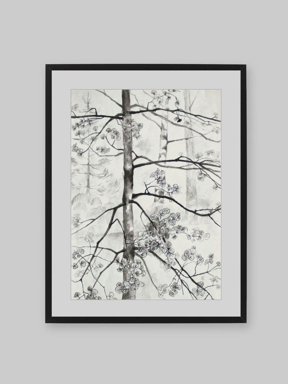 Young Pine Tree Sketch Poster - Young Pine Tree product image (5)