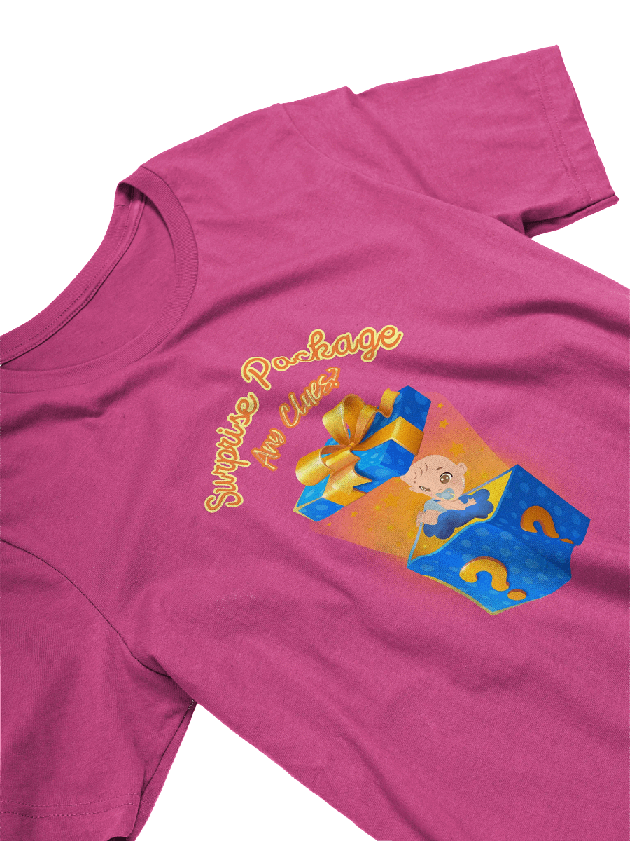 Surprise Package - Any Clues - Baby Announcement T-Shirt, Pregnancy Reveal Shirt, Maternity Tee, New Mom Gift, Gender Neutral product image (27)