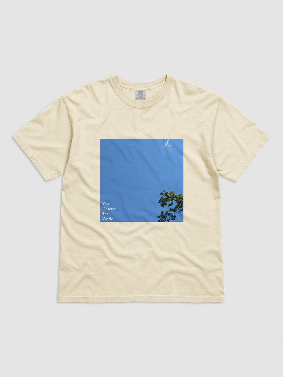 You Deserve The World T-Shirt product image (1)