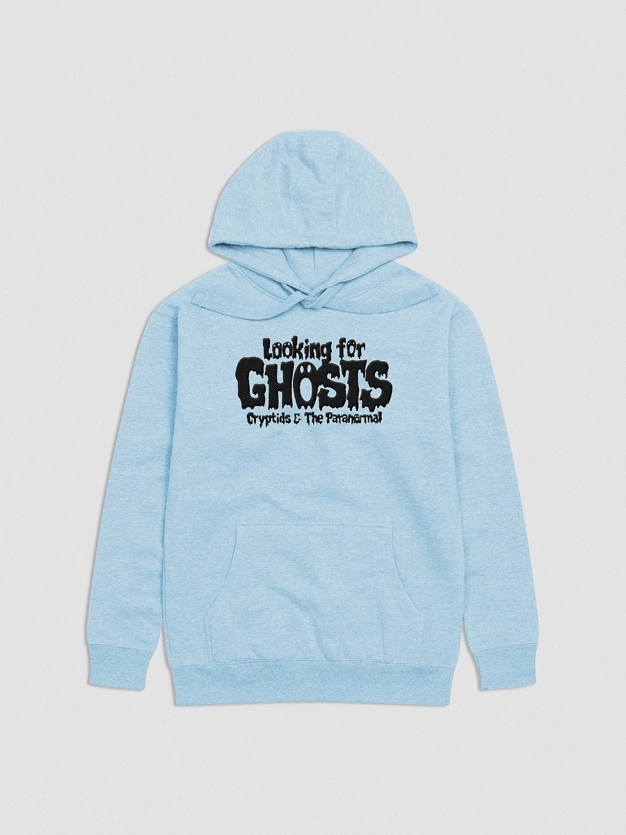 Looking For Ghosts (Haunted Hoodie) product image (1)