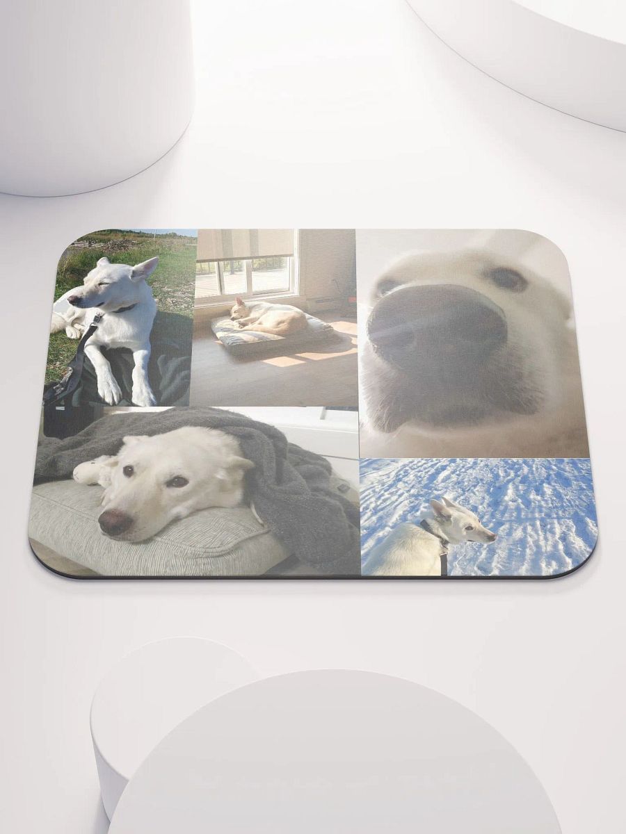 the big collage product image (2)