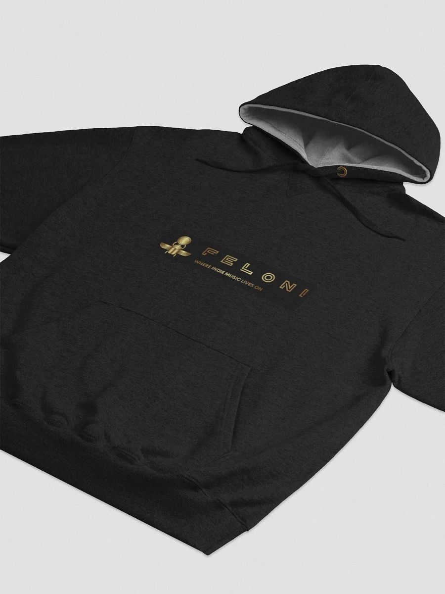 FELONI HOODIE product image (3)