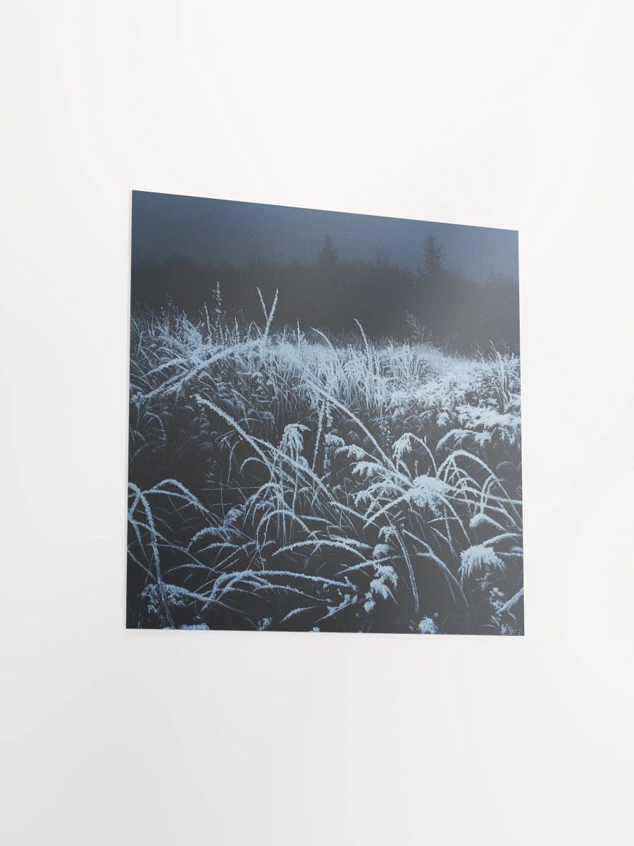 Cold Snap product image (13)