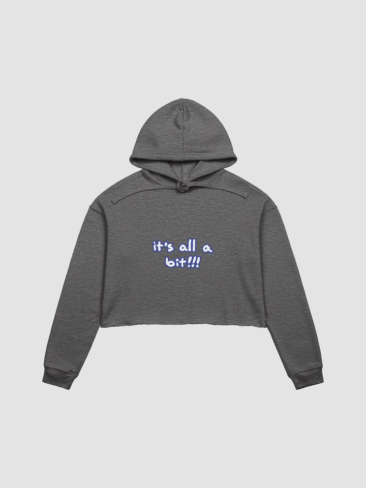 “It’s all a bit!!!” (lined design, #3E4B9D) fleece cropped hoodie product image (6)