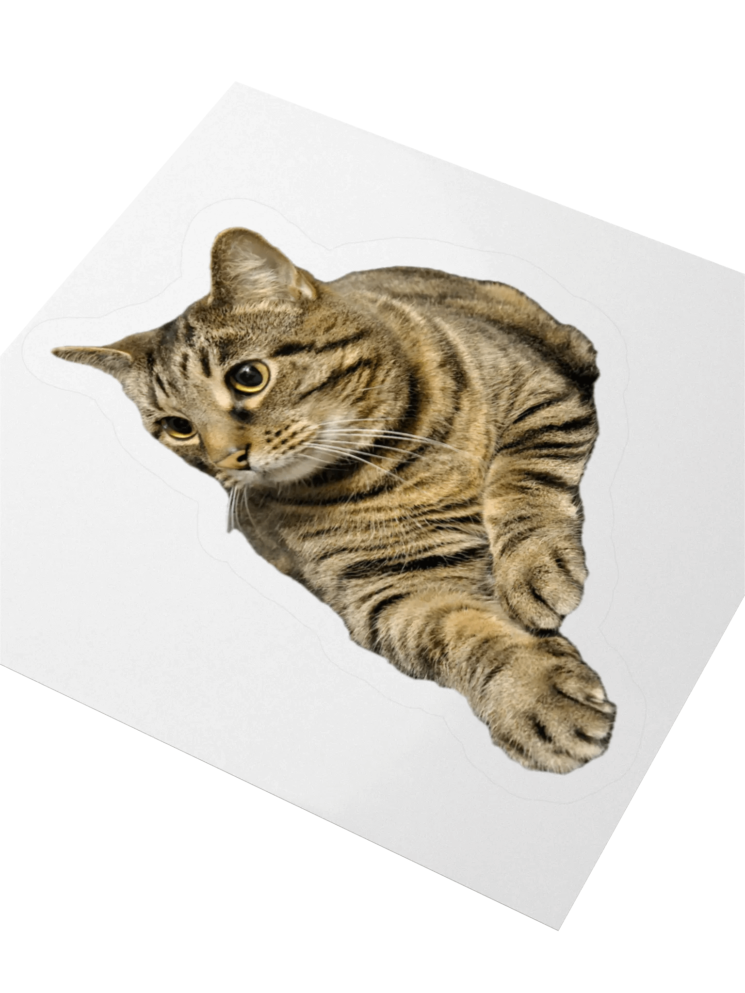 Buddy the Sir Chungus Amungus Sticker product image (3)