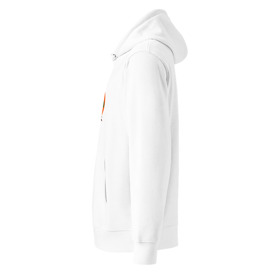 Sunset Serenity Organic Hoodie product image (3)