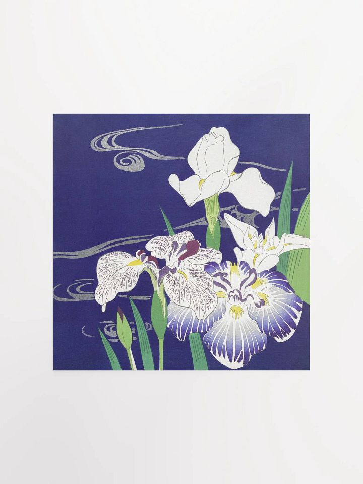 Irises - Kogyo Tsukioka product image (1)