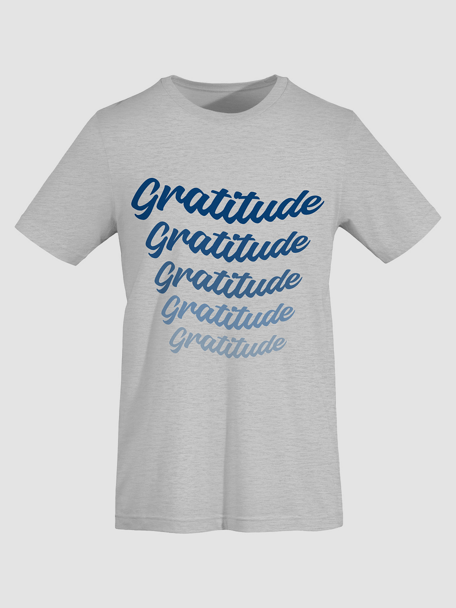 Gratitude Banner Tee product image (4)