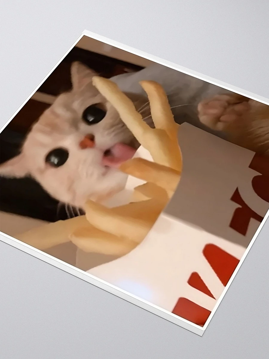 Kiss Cut Stickers: Meme Cats fries product image (3)