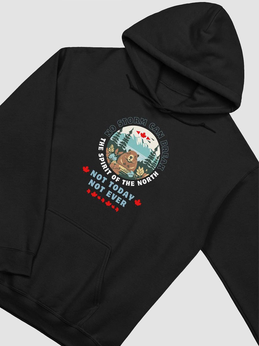 Snow Beaver Classic Hoodie product image (3)