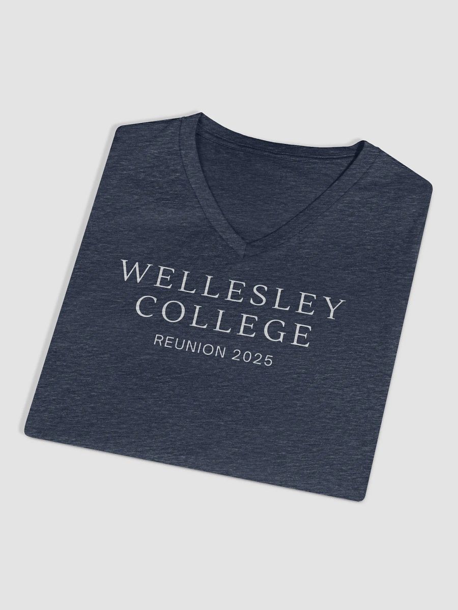 Minimalist Serif Reunion V-Neck with Small Wellesley College Seal on Back product image (3)