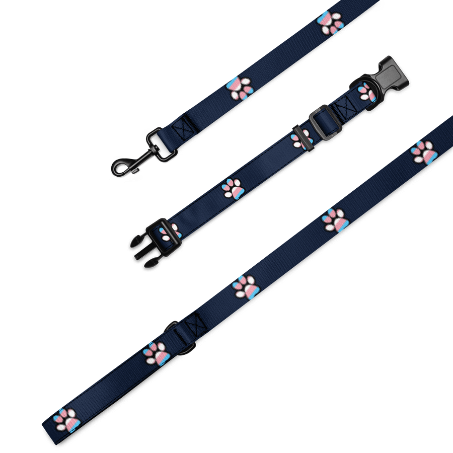 Trans Paw Print Leash & Collar Set product image (1)