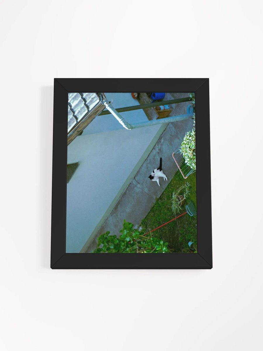Urban Feline Serenity Poster product image (56)