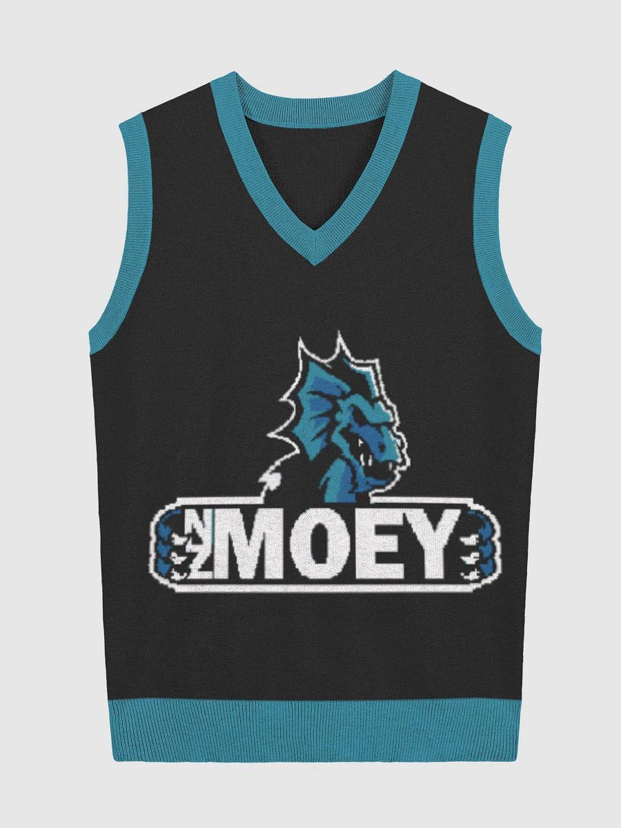 NZMOEY Logo Knitted V-Neck Vest product image (1)