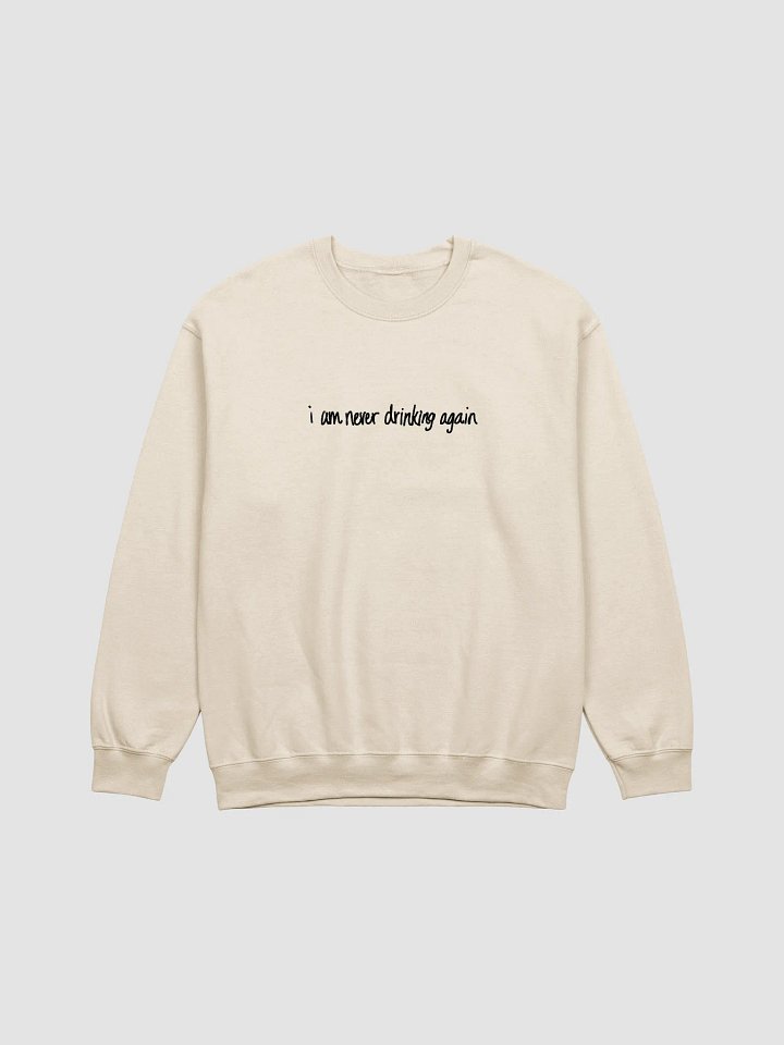 i am never drinking again product image (1)