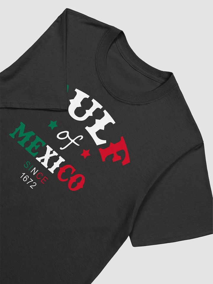 Gulf Of Mexico T-shirt product image (2)