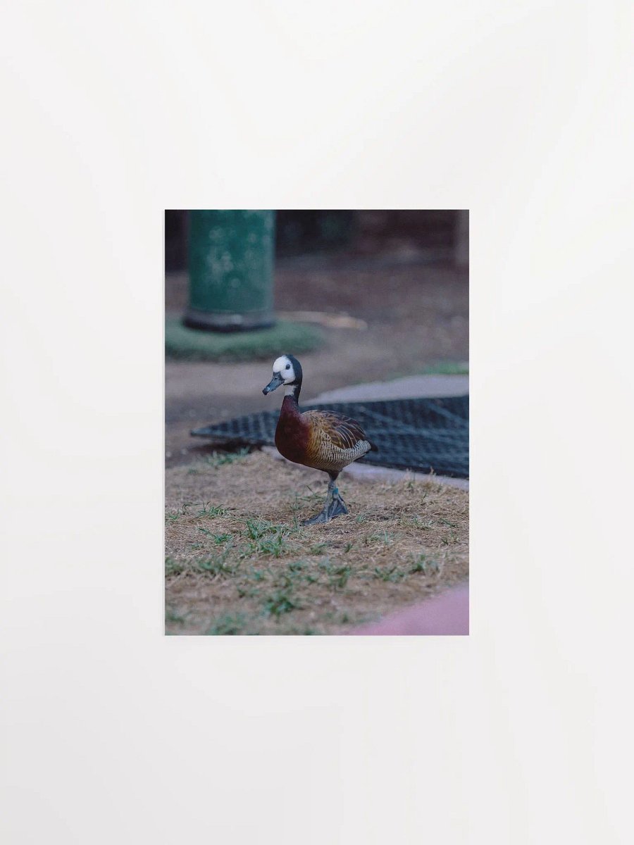 Bird #2 product image (3)