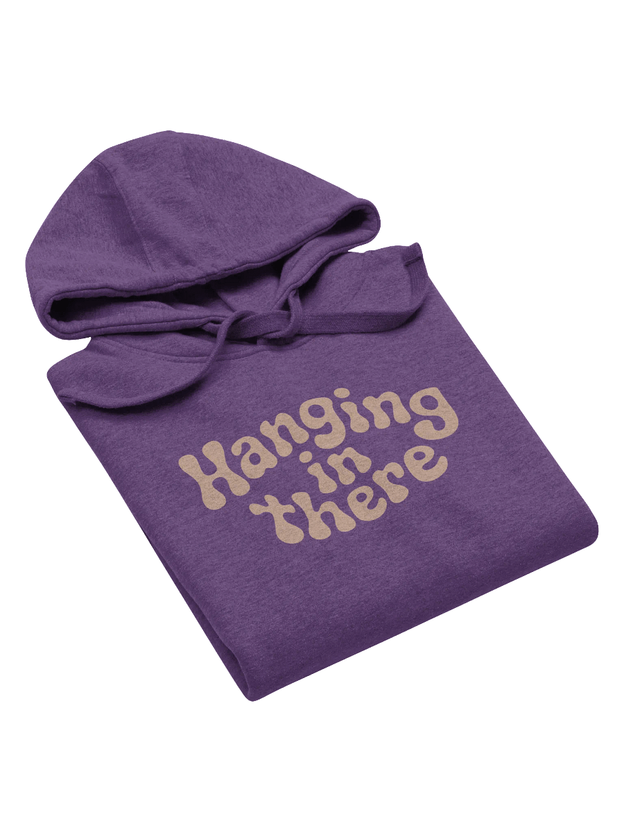 Hanging In There Hoodie product image (3)