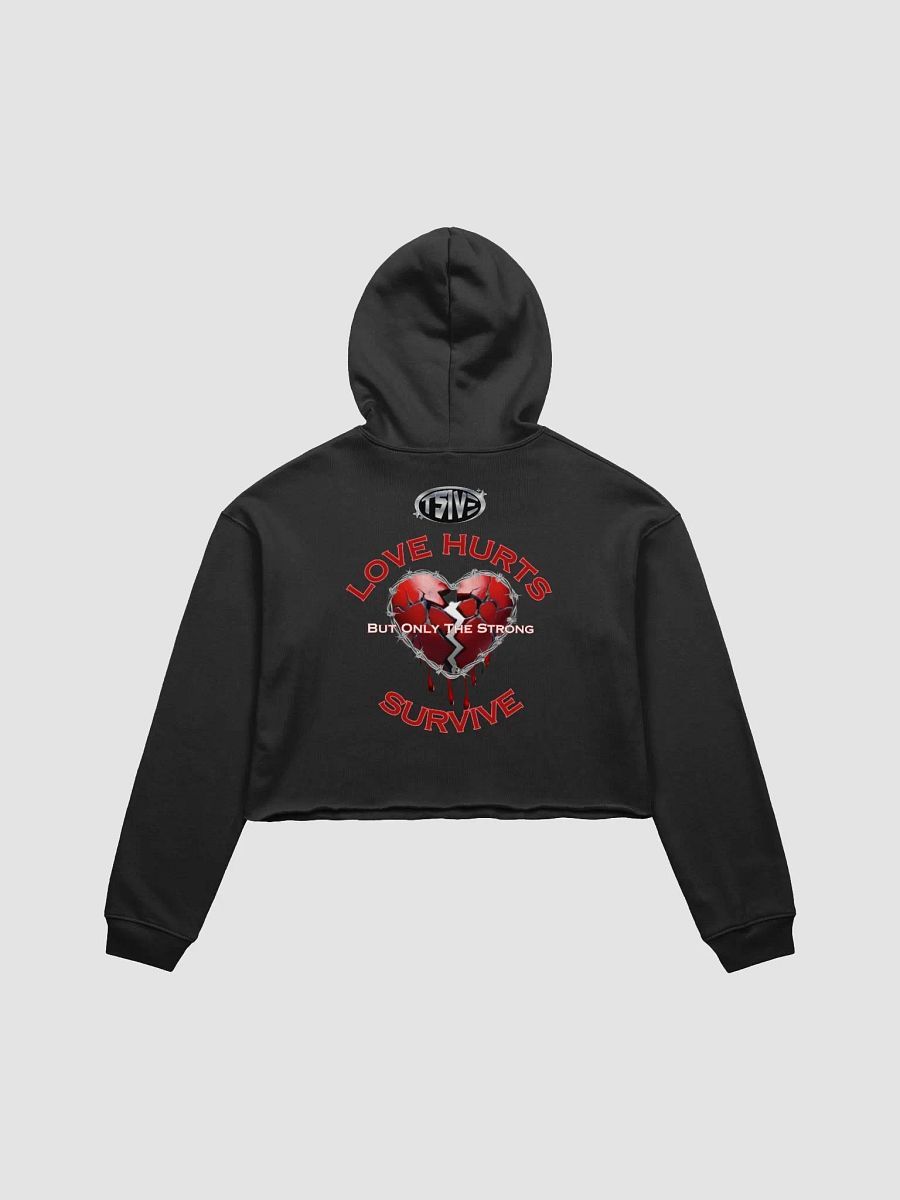 Love Hurts Cropped Hoodie product image (2)