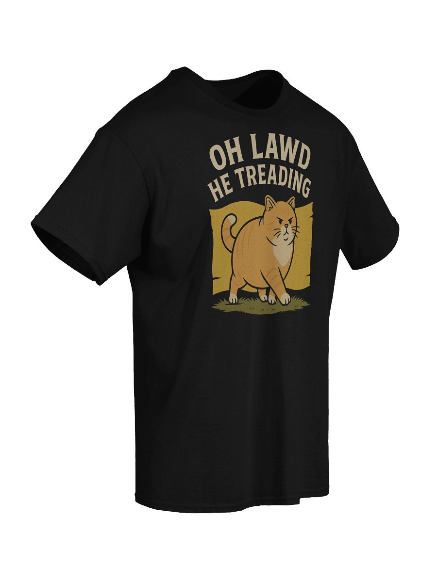 Oh Lawd He Treading Funny Chonky Cat Meme T-Shirt product image (37)