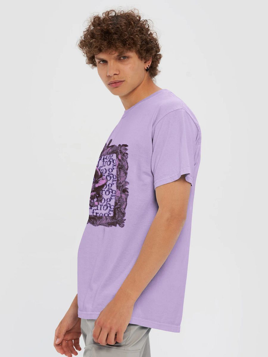 wizard frog product image (28)