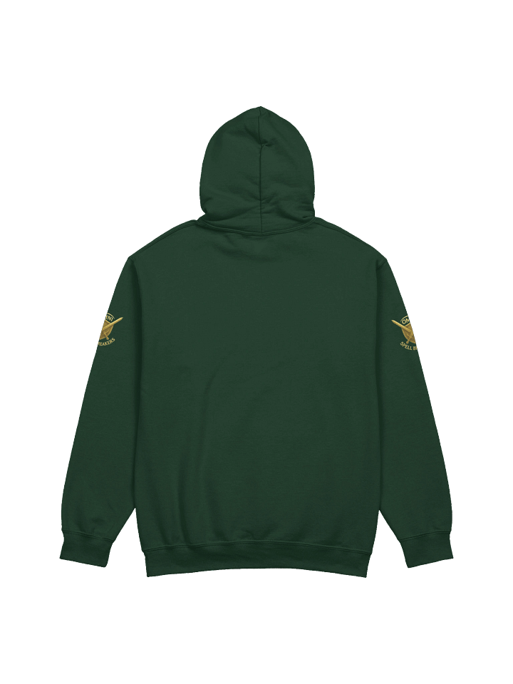 Health Restored Hoodie product image (10)