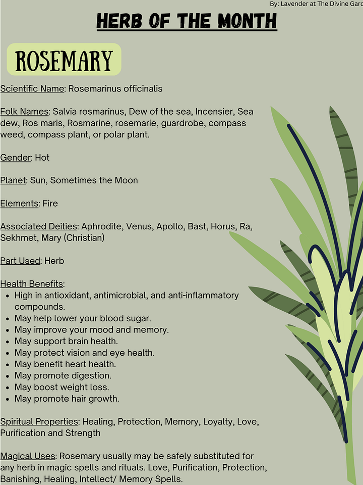 Rosemary product image (1)