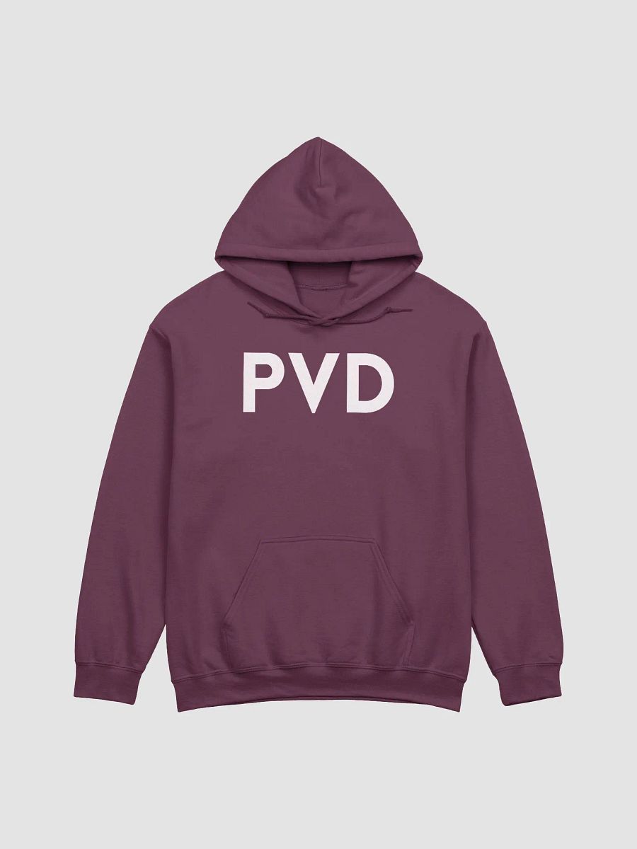 PVD Hoodie w/ Double-Lined Hood product image (1)