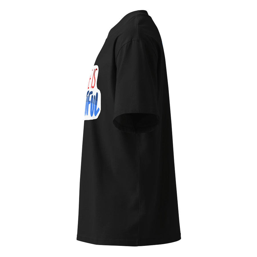 Logo Organic Oversized Tee product image (3)