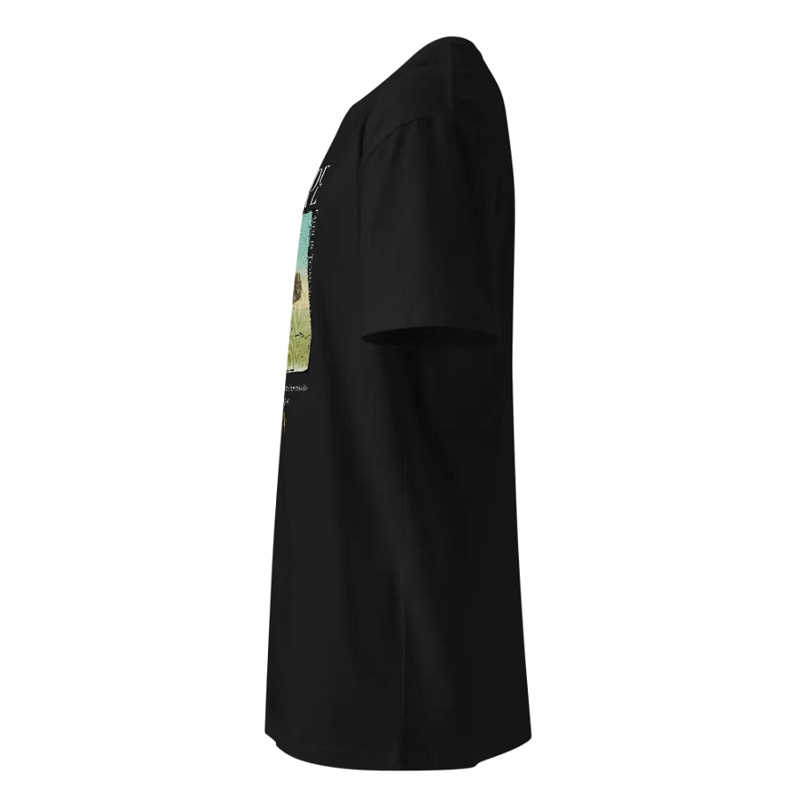 Hopeful Solitude T-Shirt product image (3)