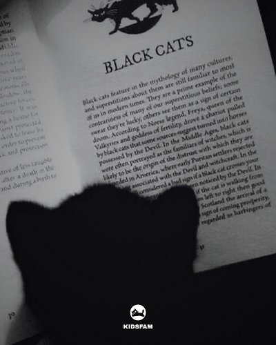 Learning about ME.

🐾 Here’s to Free Souls

We are building a Cat Spirit Community which feels like HOME to those who vibe al...