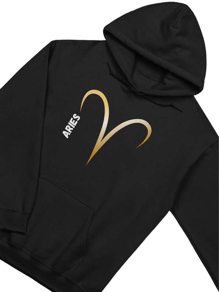 Aries Golden Symbol Hoodie product image (2)