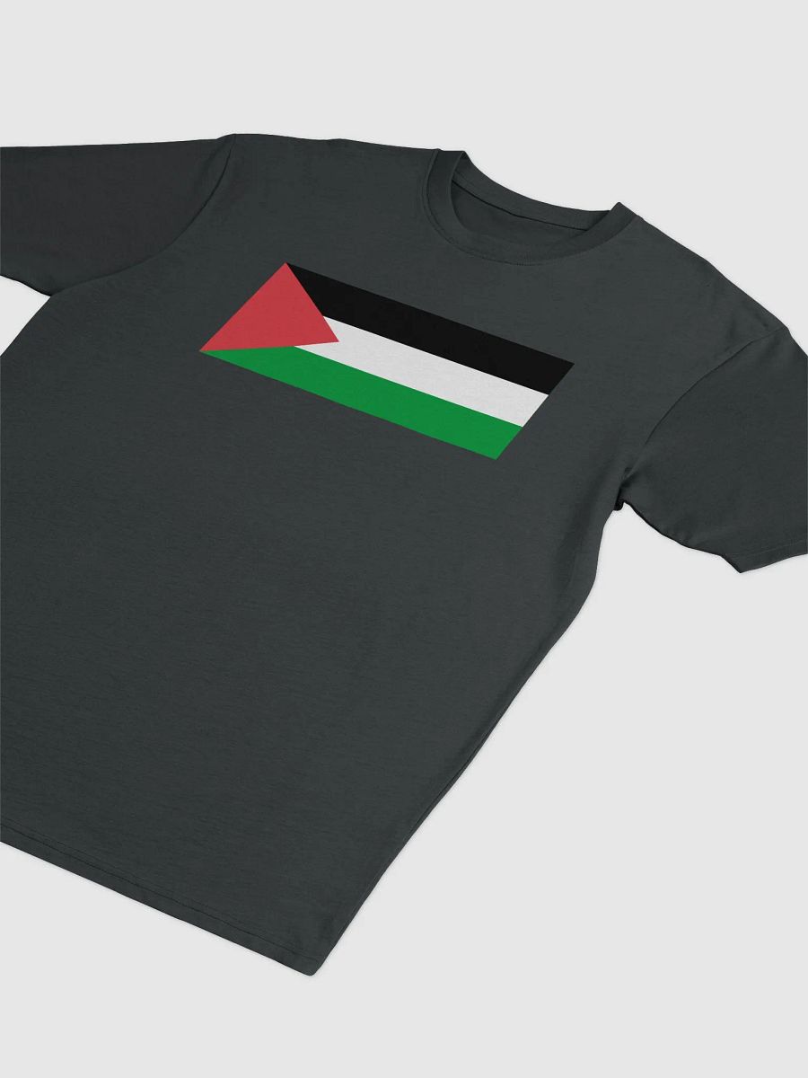 Palestine T-Shirt - Big Flag product image (3)