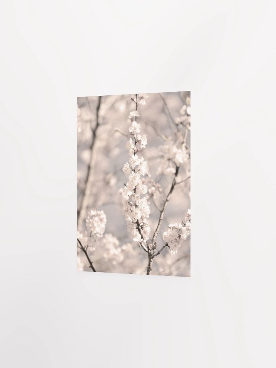 Sakura - Enhanced Matte Paper Poster product image (5)