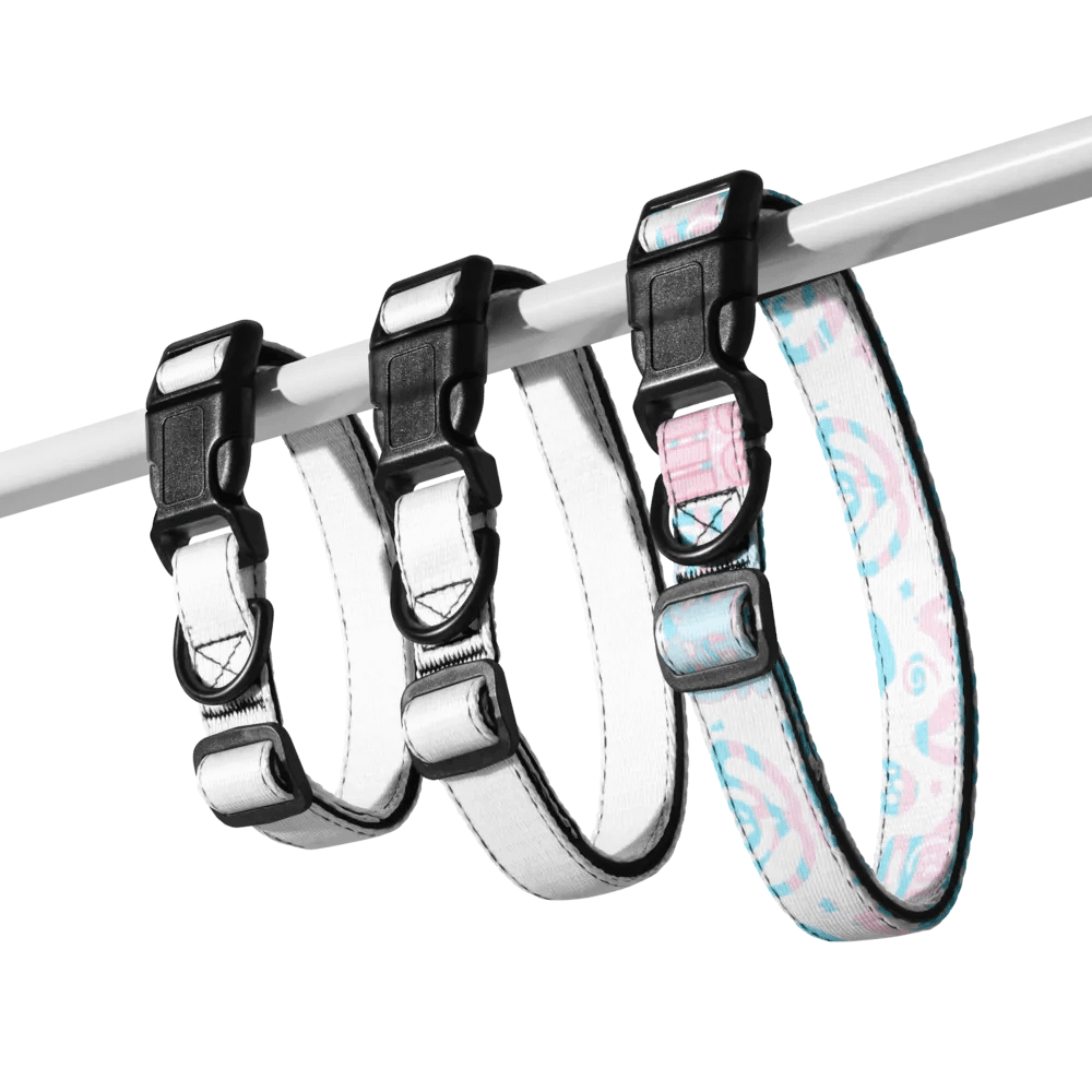 a cute collar, L product image (5)