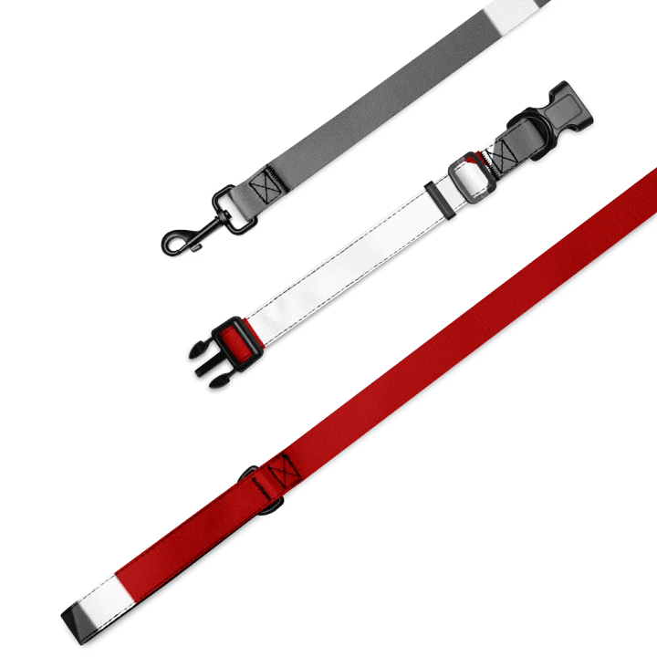 Pet Collar/Leash product image (1)
