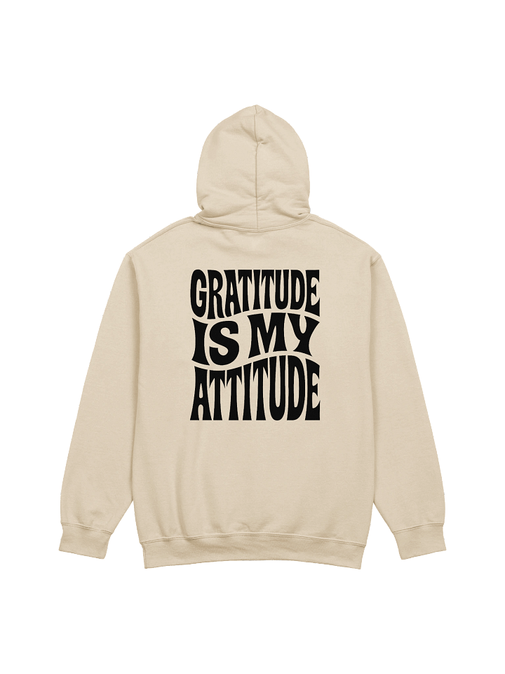 Gratitude Is My Attitude Hoodie product image (1)