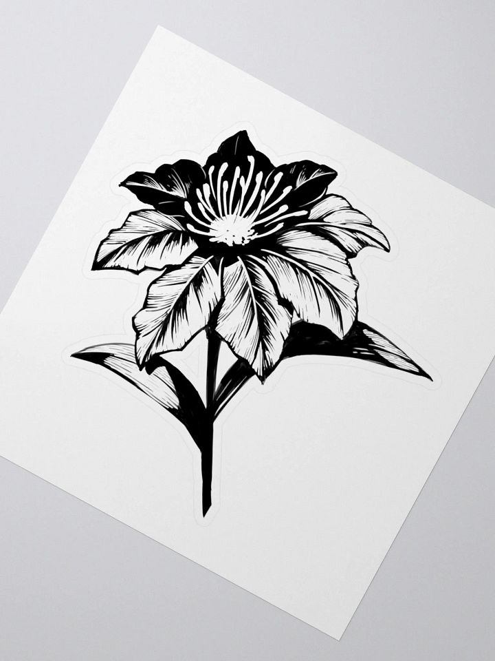 Sticker - Fayne PDV product image (4)
