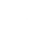 ZVNDER