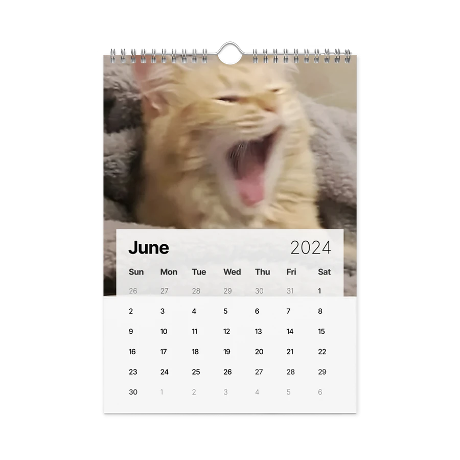 Wall Calendar (2024): Meme Cats product image (12)